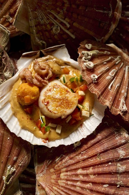 Noix de Saint-Jacques en coquille